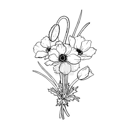 Ilustración de Ramillete de amapolas de campo ilustración vectorial gráfica en blanco y negro para el diseño de bodas de primavera y tarjetas florales para el día de las madres. - Imagen libre de derechos