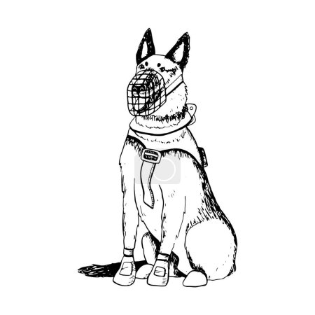 K9 sitting dog of German shepherd or belgian malinois in muzzle and vest vector illustration. Ink drawing of military guard dog for Veteran day designs.