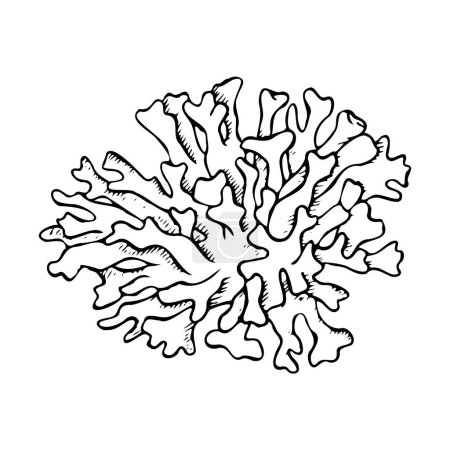 Coral line vector illustration for coloring Hand drawn monochrome underwater reef animal in black and white, sea and ocean polyp line drawing for marine and nautical design.