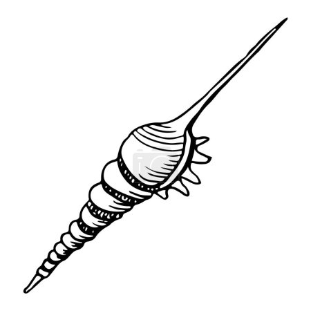 Thin spiral seashell of sea snail black and white illustration for coloring pages. Hand drawn line sketch of ocean animal for nautical designs and summer marine prints.