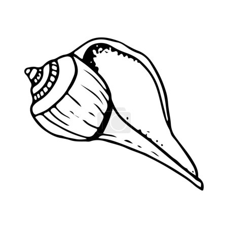 Vector spiral seashell sea snail whelk black and white illustration for coloring pages. Hand drawn line sketch of ocean animal for nautical designs and prints.
