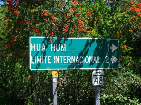 Road sign indicating direction to Hua Hum and International limits amidst red flowering tree