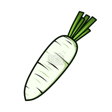 Téléchargez les illustrations : Légume de radis blanc, conception vectorielle - en licence libre de droit