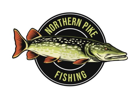 Téléchargez les illustrations : Modèle de logo d'insigne de pêche au brochet du nord - en licence libre de droit