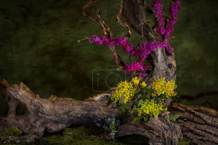 Spring flowers. Art installation. Ikebana. Medicinal plants. Judas tree. Mahonia waterfolia. Veronica field.