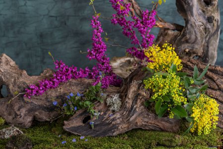 Flores de primavera. Instalación artística. Ikebana. Plantas medicinales. Árbol Judas. Mahonia waterfolia. Campo de Verónica.