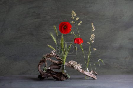 composition mélancolique de fleurs de coquelicots de champs rouges, utilisant des matériaux naturels, racines, herbes de champs, épillets, lichens, style naturaliste.