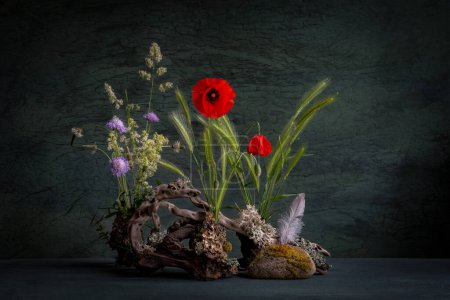 Melancholische Komposition von Blumen des roten Feldmohns, mit natürlichen Materialien, Wurzeln, Feldgräsern, Stacheln, Flechten, naturalistischem Stil.