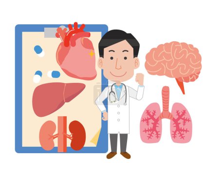 Ilustración de Ilustración de varios órganos y un médico varón - Imagen libre de derechos