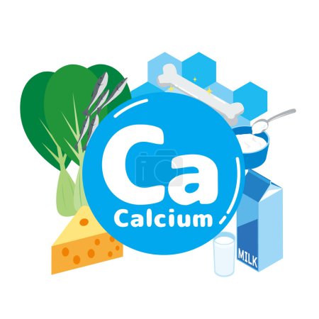 Illustration for Illustration of foods containing calcium - Royalty Free Image