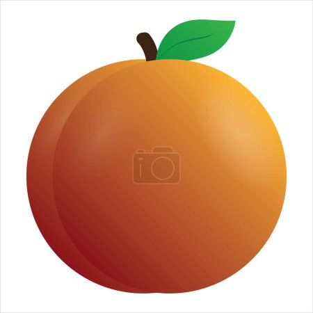 Photo for Vector illustration of a peach with stem and leaf - Royalty Free Image