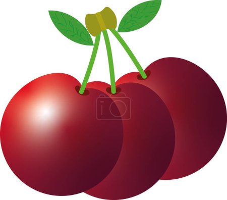 Téléchargez les photos : Cerise - Juicy 3D Cherry : Illustration vectorielle réaliste pour des projets délicieux - en image libre de droit