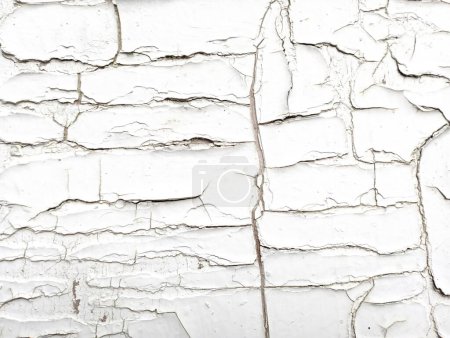 Photo for Cracked white paint on a wooden house door. Texture of old paint - Royalty Free Image