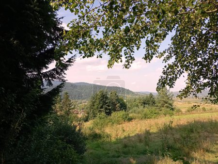 Foto de Una vista del paisaje de montaña desde el borde del bosque. En primer plano hay ramas de árboles y ramas de pino. - Imagen libre de derechos