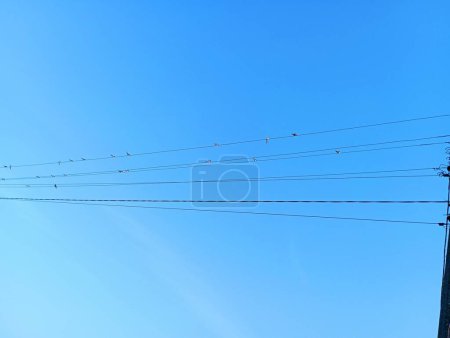 Photo for Electric grids against the background of the blue sky, on which a flock of migratory birds sits. - Royalty Free Image