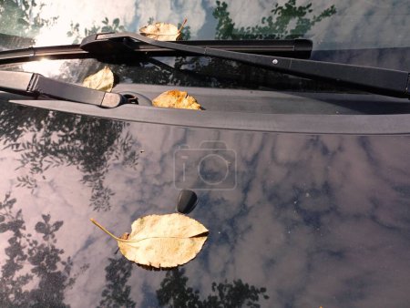 Photo for Leaves on the hood and windshield of a black car. Autumn theme is the first fallen leaves. - Royalty Free Image