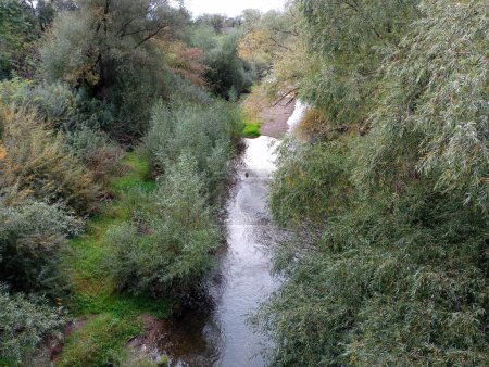 Foto de Foto del río desde una altura. Un estrecho río fluye a lo largo de un canal que está cubierto de sauces a ambos lados. - Imagen libre de derechos