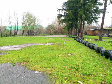 Photo for The playground is fenced with old car tires with a green lawn where chickens graze. An improvised playground for games and entertainment. - Royalty Free Image