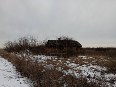 Téléchargez les photos : Une cabane dans une ferme en hiver par temps neigeux sombre. Un champ enneigé sur lequel on peut voir une cabane en bois sombre et solitaire. Hiver rural paysage rude. - en image libre de droit