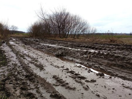 A swampy field road with a lot of mud and deep ruts from large trucks and tractors. Very bad road through the fields.