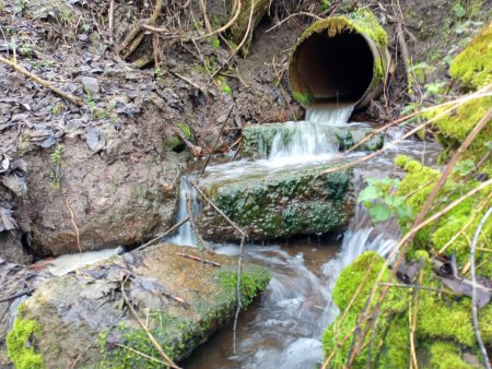 L'eau s'écoule d'un tuyau métallique et coule dans le lit du ruisseau avec de grands rapides de pierre recouverts de mousse verte épaisse.