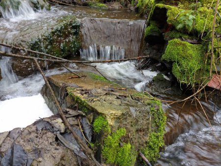 El agua fluye por piedras cubiertas de musgo verde. Una pequeña cascada en un pequeño arroyo.