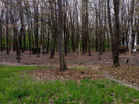 Una cerca en el parque que separa parte del bosque para mantener animales salvajes. Ecosistema y mantenimiento de animales en condiciones naturales y el ecosistema habitual.