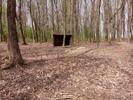 Ein spezieller Raum im Wald für Ihre Tiere bei Regen und widrigen Witterungsbedingungen. Eine kleine Hütte zum Verstecken vor dem Regen.