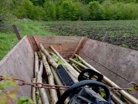Langes dünnes Brennholz auf einem Wagen und eine Kettensäge auf dem Hintergrund eines grünen Frühlingswaldes. Brennholztransport in einem Holzwagen.