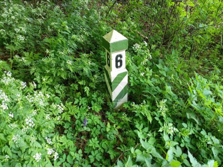 Im frühlingshaften grünen Wald ist eine Holzstange in einem grün-weißen Streifen mit einer Zahl bemalt, die die Zahl des Quadrats und die Richtung der Bewegung anzeigt. Ein Wahrzeichen, das Ihnen erlaubt, im Wald zu navigieren.