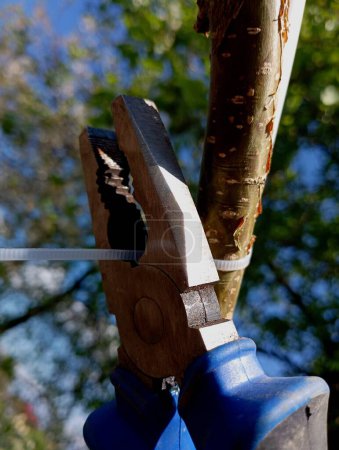 Schneiden von Kunststoffbändern mit einer Zange. Befestigung von Holzstäben mit Hilfe von Kunststoff-Spannbändern.
