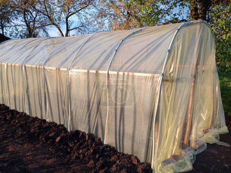 A greenhouse made of improvised materials in the garden for growing vegetables. The topic of growing vegetables on the homestead in greenhouses made by hand from polyethylene film.