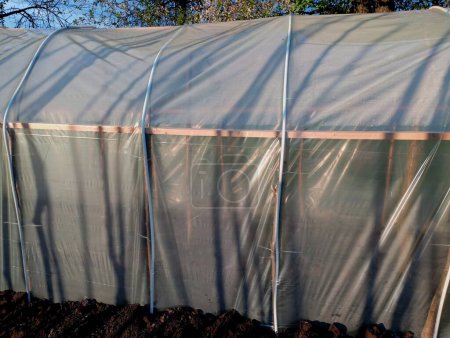 A special room for growing vegetables made of polyethylene film. The topic of growing vegetables in greenhouse conditions. Homemade greenhouse from improvised materials.