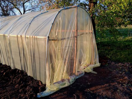 Homemade greenhouse made of polyethylene film and wooden columns made of wood. The topic of growing vegetables in greenhouse conditions. A greenhouse at home on its own plot.