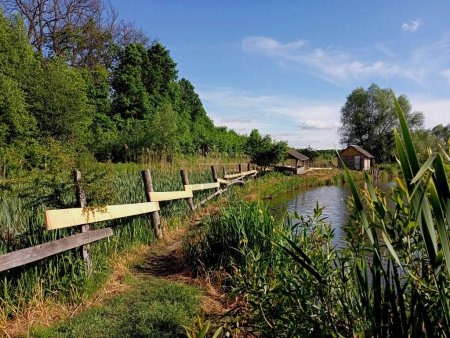 Téléchargez les photos : Une clôture près de l'étang qui mène à de petites maisons de repos sur le rivage près de l'eau. Beau paysage sur un petit lac pittoresque. Un endroit pour se détendre dans la nature. - en image libre de droit