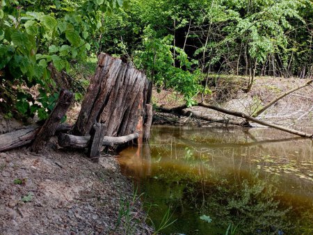 Eine alte Holzwand am Ufer eines Teiches, um Erdrutsche zu verhindern. Alter Damm auf einem Teich im Wald.