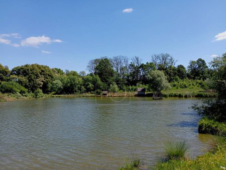 A picturesque lake with banks covered with green grass and trees with clear water and fishing grounds. Beautiful landscape on a fishing pond in summer.