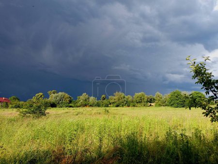 A stormy cloudy sky over a green grass field. A thunderstorm is approaching the green summer fields. Nature and natural phenomena. The topic of precipitation and beautiful landscapes.