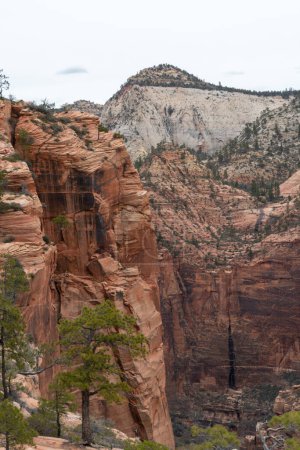 Foto de Vista desde Angels Landing Hike en el Parque Nacional Zion Arizona - Imagen libre de derechos