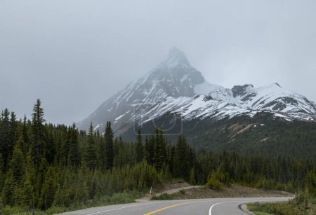 Foto de Hermoso camino en las Montañas Rocosas Canadienses rodeado de árboles verdes - Imagen libre de derechos