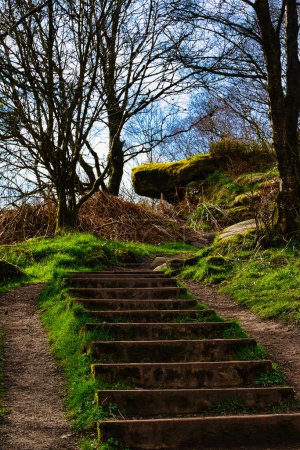 Stone steps leading up a lush green hillside with bare trees against a clear sky at Brimham Rocks, in North Yorkshire