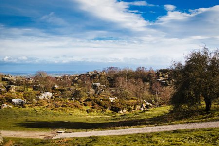 Photo for Idyllic rural landscape with lush green fields, scattered trees, and a clear blue sky with fluffy clouds at Brimham Rocks, in North Yorkshire - Royalty Free Image