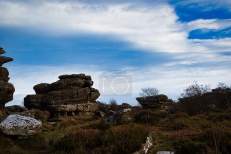 Scenic view of rugged rock formations amidst wild heath under a cloudy sky at Brimham Rocks, in North Yorkshire
