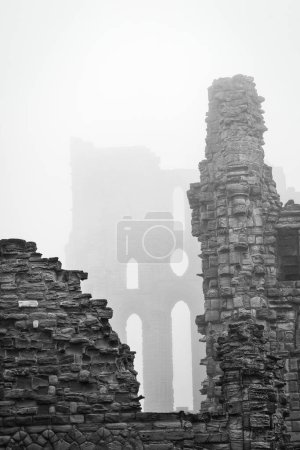 Black and white photograph of ancient stone ruins shrouded in fog. The image captures the eerie and mysterious atmosphere of the decaying structures.