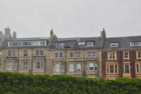 A row of old, multi-story residential buildings with various architectural styles, seen from behind a green hedge on a foggy day.