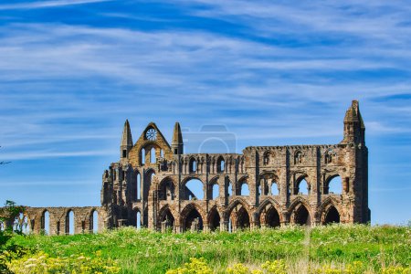 Ruins of an ancient abbey with Gothic architecture, set against a blue sky with wispy clouds. The structure is surrounded by green grass and wildflowers.