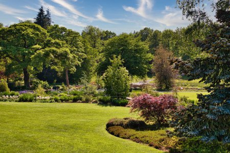 Un exuberante jardín verde con varios árboles, arbustos y un césped bien cuidado bajo un cielo azul con nubes enturbiadas.