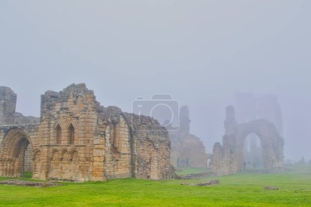 Ancient stone ruins of a building with arches and walls, surrounded by green grass, shrouded in thick fog.