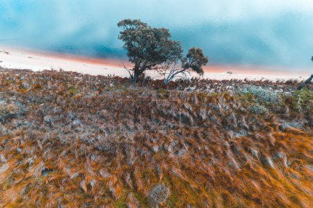 Téléchargez les photos : Vue aérienne de la colline de pente touffue jusqu'à la plage. Journée ensoleillée en été avec des couleurs vives. Channel Island, Mandurah, Australie occidentale, Australie. Vue de dessus. Côtier, Paysage marin - en image libre de droit
