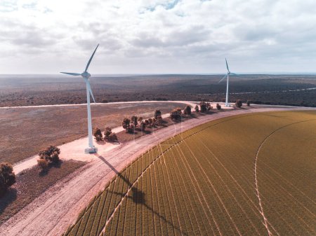 Photo for Aerial top down view of wind turbines. Outback farm crop line background. West Hills Wind Farm, Western Australia. Aerial Photography taken by a drone. - Royalty Free Image